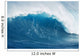 also known as 'Jaws' Wall Mural