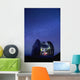 View of a starry night sky and the Milky Way Wall Mural