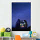 View of a starry night sky and the Milky Way Wall Mural