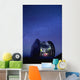 View of a starry night sky and the Milky Way Wall Mural