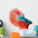 Halfmoon Betta Fish Wall Decal