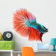 Halfmoon Betta Fish Wall Decal