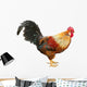 Colorful Beautiful Male Rooster Wall Decal