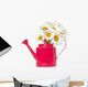 Beautiful Chamomile Flowers Gardening Wall Decal