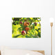 Detail Of Apple Tree Wall Mural