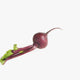 Full Length Studio Shot Of Beet Wall Mural