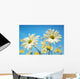 Close-Up Of Daisies Against A Blue Background Wall Mural