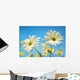 Close-Up Of Daisies Against A Blue Background Wall Mural