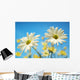 Close-Up Of Daisies Against A Blue Background Wall Mural