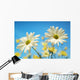 Close-Up Of Daisies Against A Blue Background Wall Mural