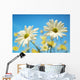 Close-Up Of Daisies Against A Blue Background Wall Mural