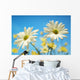 Close-Up Of Daisies Against A Blue Background Wall Mural