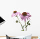 Close-Up Of Echinacea Flower Wall Mural