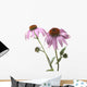 Close-Up Of Echinacea Flower Wall Mural