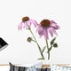 Close-Up Of Echinacea Flower Wall Mural