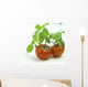 Fresh Wet Red Tomatoes On White Background Wall Mural