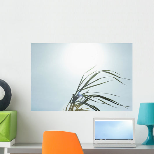 Close-Up Of Long Blades Of Grass Blowing In Wind Wall Mural