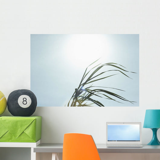 Close-Up Of Long Blades Of Grass Blowing In Wind Wall Mural