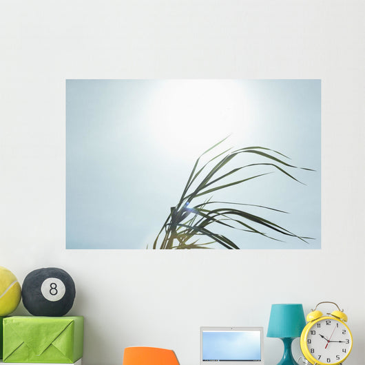 Close-Up Of Long Blades Of Grass Blowing In Wind Wall Mural