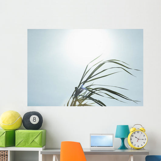 Close-Up Of Long Blades Of Grass Blowing In Wind Wall Mural
