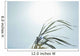 Close-Up Of Long Blades Of Grass Blowing In Wind Wall Mural