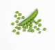 Fresh Green Peas From The Pod Wall Mural