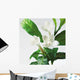 Close-Up Of Jasmine Plant In Bloom Wall Mural
