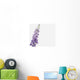 Close-Up Of Lavender Flower Wall Mural