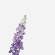 Close-Up Of Lavender Flower Wall Mural