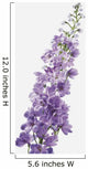 Close-Up Of Lavender Flower Wall Mural