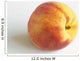 Close-Up Of Ripe Peach On White Background Wall Mural