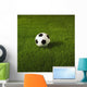 Soccer Ball On Grass Wall Mural