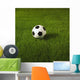 Soccer Ball On Grass Wall Mural