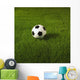 Soccer Ball On Grass Wall Mural