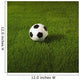 Soccer Ball On Grass Wall Mural