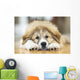 Great Pyrenees Puppy Lying Down Wall Mural