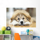 Great Pyrenees Puppy Lying Down Wall Mural