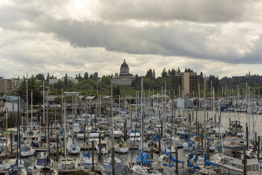 Marina Olympia Washington Waterfront Wall Decal