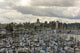 Marina Olympia Washington Waterfront Wall Decal