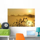 Canada Geese In Flight At Sunrise Wall Mural