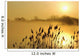 Canada Geese In Flight At Sunrise Wall Mural