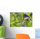 Close-Up Of Snail Wall Mural