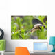 Close-Up Of Snail Wall Mural