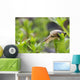 Close-Up Of Snail Wall Mural
