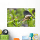 Close-Up Of Snail Wall Mural