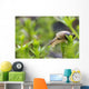 Close-Up Of Snail Wall Mural