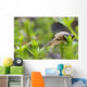 Close-Up Of Snail Wall Mural