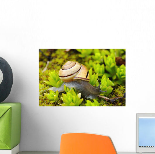 Snail On Moss Wall Mural