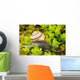 Snail On Moss Wall Mural