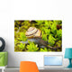 Snail On Moss Wall Mural